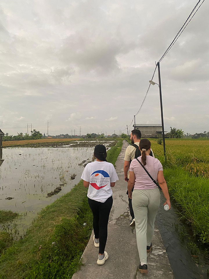 Morning Walk - Sukawati Paddy Field