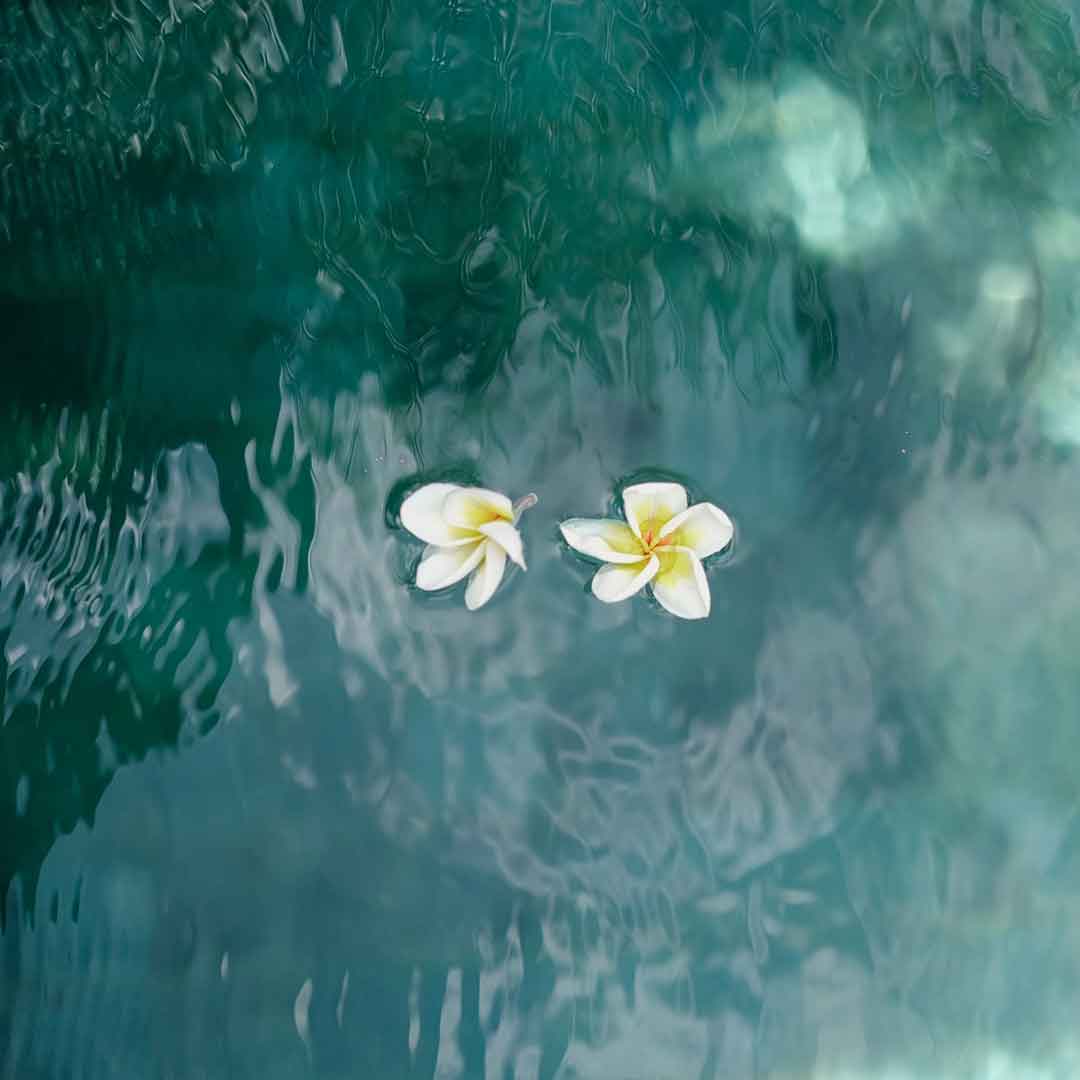 Taman Dharmawangsa Jimbaran - About